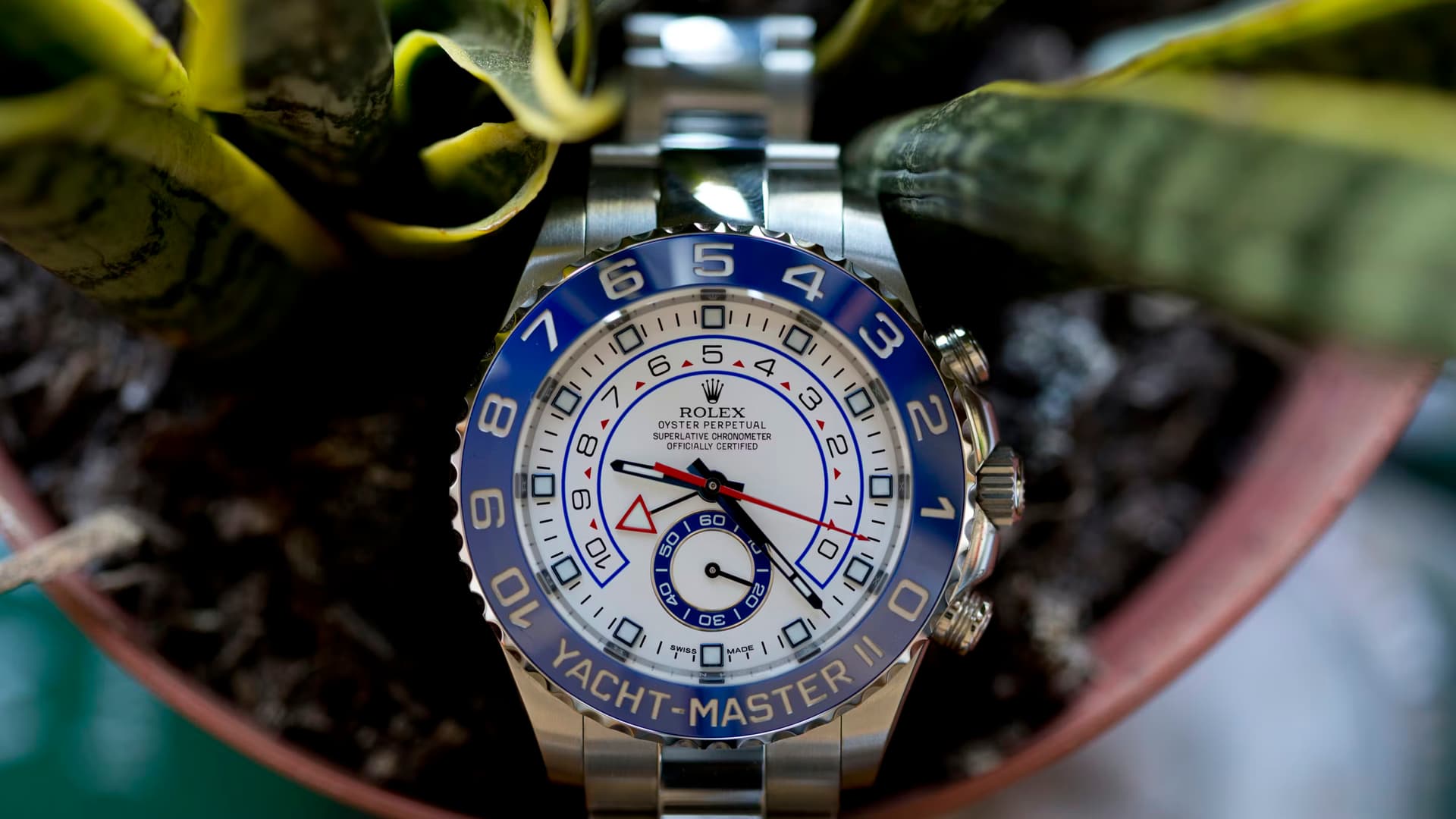 Rolex Yacht-Master II with blue ceramic bezel and white regatta dial