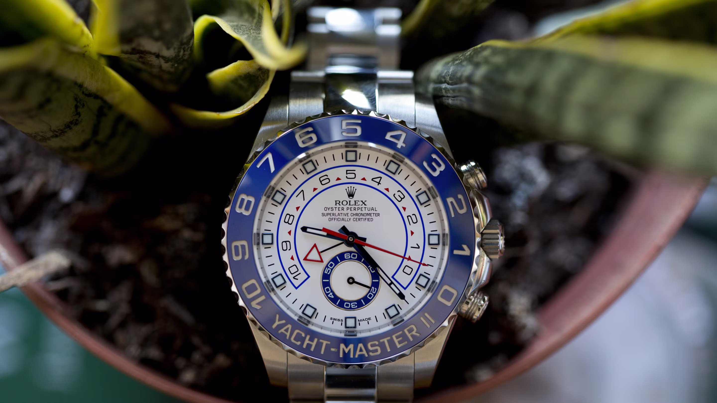 Rolex Yacht-Master II with blue ceramic bezel and white regatta dial